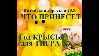 Год КРЫСЫ для ТИГРА. Китайский гороскоп 2020. Таропрогноз.