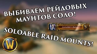 Soloable Raid Mounts!