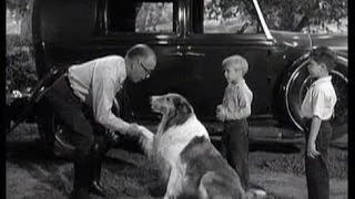 Lassie - Episode 122 - "The Business" - Season 4, #19 (1/12/1958