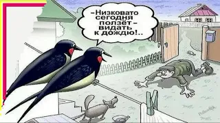 Шутки и приколы Сегодня я, завтра ты, послезавтра...