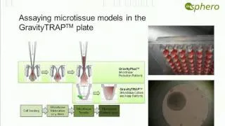 Webinar: Your body is 3D, why is your cell culture not?