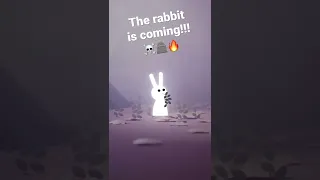 The Rabbit is Coming!!!