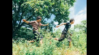 Trailer « L'innocence » de Kore-eda Hirokazu | Bande-annonce