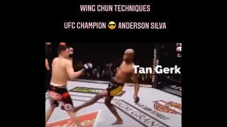 Spider Anderson Silva | Ufc Champion | Wing Chun Techniques