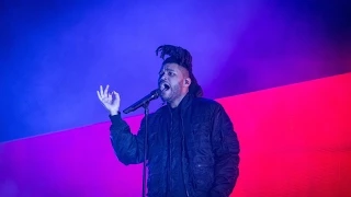 The Weeknd Lollapalooza 2015