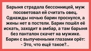 Барыня без Панталон Считала Овец! Сборник Свежих Смешных Жизненных Анекдотов!