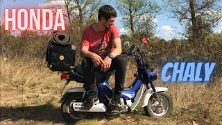 Огляд Honda Chaly ( хонда Чалі )