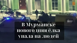 В Мурманске новогодняя ёлка упала на людей