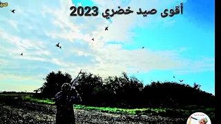 The best duck hunting video 2023 🔥🔥  صيد خضري مع أمهر الصيادين لا يفوتك