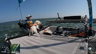 Fast Sail to Corsons Inlet and the Atlantic Ocean with a 1 year old pup on a Hobie Tandem Island