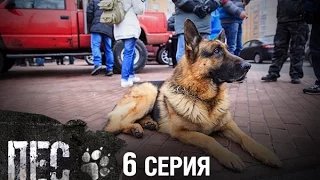 Сериал Пес - 6 серия