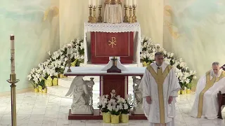 Fr. Mark Beard's Homily | "Checking In" | Third Sunday of Easter, Year B | 4/18/2021