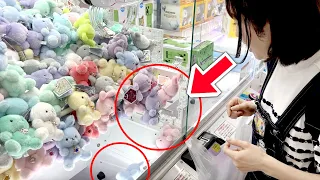 Getting 5 prizes at once!? Crane Game chill day