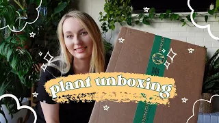 🌿 plant mail unboxing from UPT (unsolicited plant talks) - HUGE hoyas 🪴