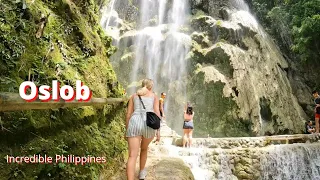 The Philippines 🇵🇭 - Oslob - Tumalog Falls one of the highest Falls on cebu