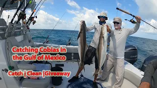 Catching Cobia in the Gulf of Mexico - Catch, Clean, and Giveaway for Food Drive!