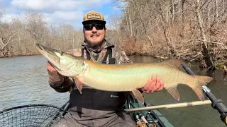 Musky hits right at the boat!!!