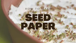 Earth Day Craft - Pollinator Seed Paper