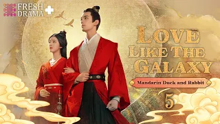 【SPECIAL】EP05 Mandarin Duck and Rabbit | Love Like the Galaxy | Zhao Lusi, Leo Wu | FRESH DRAMA+