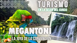 ¿Cómo llegar a MEGANTONI? | ¿Que maravillas naturales existen en la SELVA CONVENCIANA?