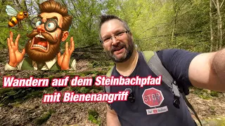 Wandern auf dem Steinbachpfad im Saarland mit Bienenangriff - Höhenmeter sind der Endgegner