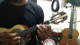 PRA VER VOCÊ SAMBAR - REVELAÇÃO ( AULA DE CAVAQUINHO )