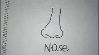 How to draw a nose for kids easy