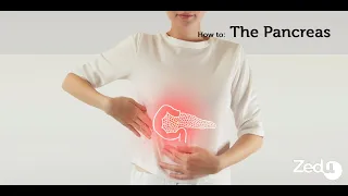 How to: Ultrasound the Pancreas  - Zedu POCUS Coaching Corner - 1 July 2021