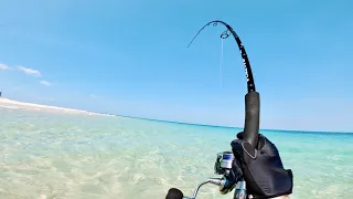 Failing To Catch A Marlin Off The Beach