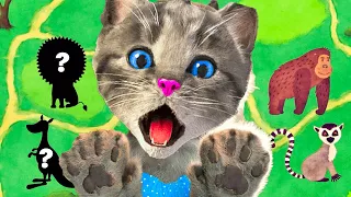 LITTLE KITTEN ADVENTURE MY FAVORITE CAT AND CAT CARE - SUPER FUN GAME FOR KIDS AND TODDLERS