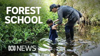 Forest schools: A growing alternative for parents wanting less screen time for kids | ABC News