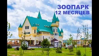 ЗООПАРК 12 МЕСЯЦЕВ ОТЗЫВ