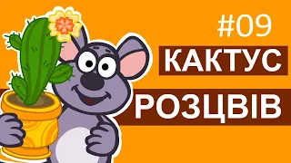 Мультсеріал Пригоди лісових друзів – Кактус розцвів