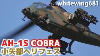 [AH-1S 飛行展示] JGSDF AH-1S COBRA TAKE-OFF & Maneuvering Flight [ヘリコプター & 防災・防犯フェスティバル2017] 2017.8.26