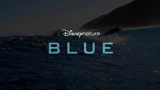 Disneynature's Blue - Aftermovie - Disney NL