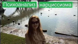 Нарциссическое либидо. Психоанализ нарциссизма