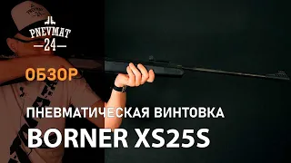 Пневматическая винтовка Borner XS25S (пластик)