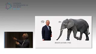 Shaping the Brain: Mathematics of Folding and Connecting, Alain Goriely | LMS Popular Lectures 2019