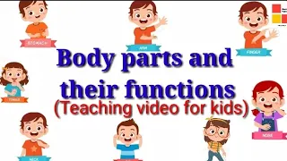 Parts of the body#How to teach body parts to kids#important body parts and their functions#EVStopic