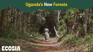 Uganda’s New Forests | Ecosia