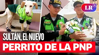 Sultán, el PERRITO que dejó de ser un ‘VAGUITO’ para convertirse en MIEMBRO de la PNP | #LR