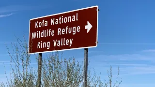 Free Camping at King Road BLM, Kofa National Wildlife Refuge, AZ