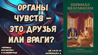 Органы чувств — это друзья или враги? Адхокшаджа д. ШБ.4.25.52–54