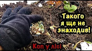 Такого я ще не знаходив! Пошук з металошукачем в зимовому лісі. Коп зимою