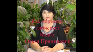 Как обрезать Гибискус?Разные способы формировки-видео Ольги Пряниковой