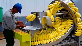 Satisfying Videos of Workers That Work Extremely Well, I Can't Stop Watching It Ep:80