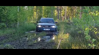 Audi Allroad C5 Capability performance test in the forest