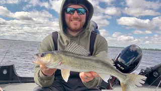 Lake Winnebago Slip Bobber Walleyes 5-11-24