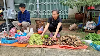FULL VIDEO: 65 Day Harvesting Stone Snails & Ginger, Papaya Flower Goes to the market sell.