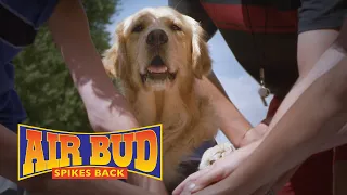 AIR BUD: SPIKES BACK Movie - Brasil version